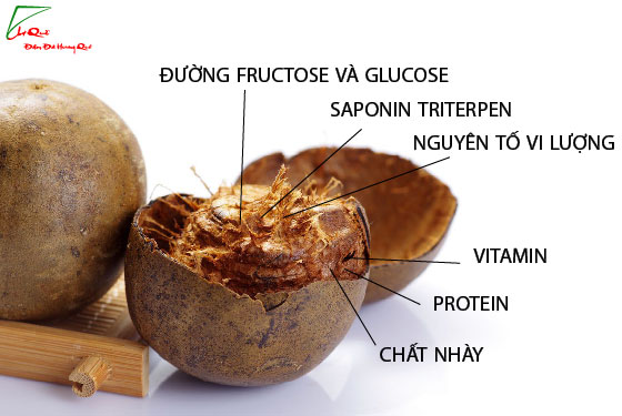 MỘT SỐ CÁCH NẤU NƯỚC QUẢ LA HÁN CÓ TÁC DỤNG NHUẬN PHẾ